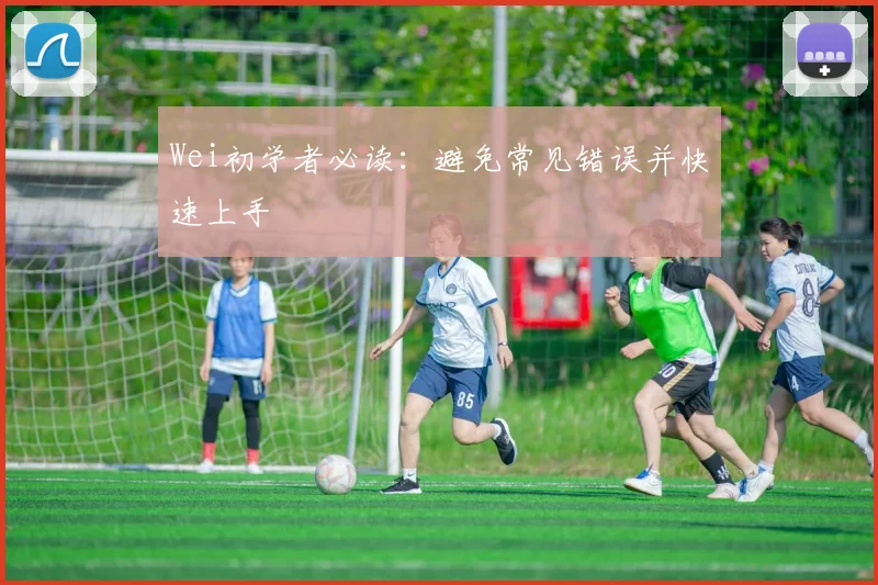Wei初学者必读：避免常见错误并快速上手