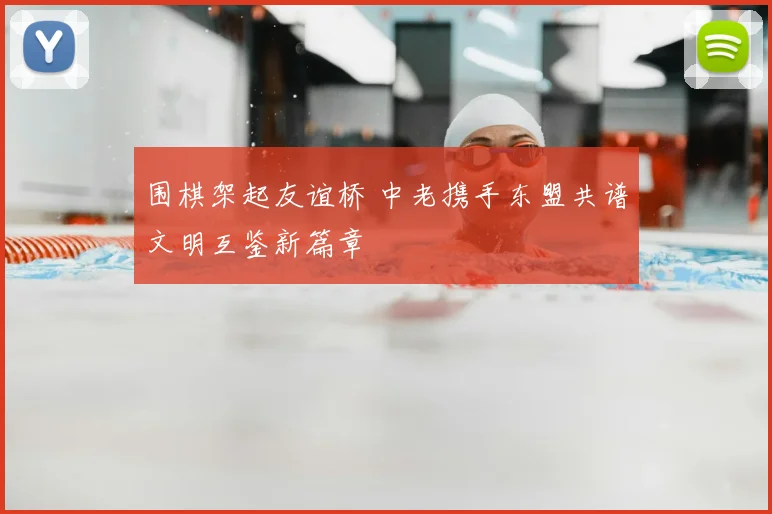 围棋架起友谊桥 中老携手东盟共谱文明互鉴新篇章
