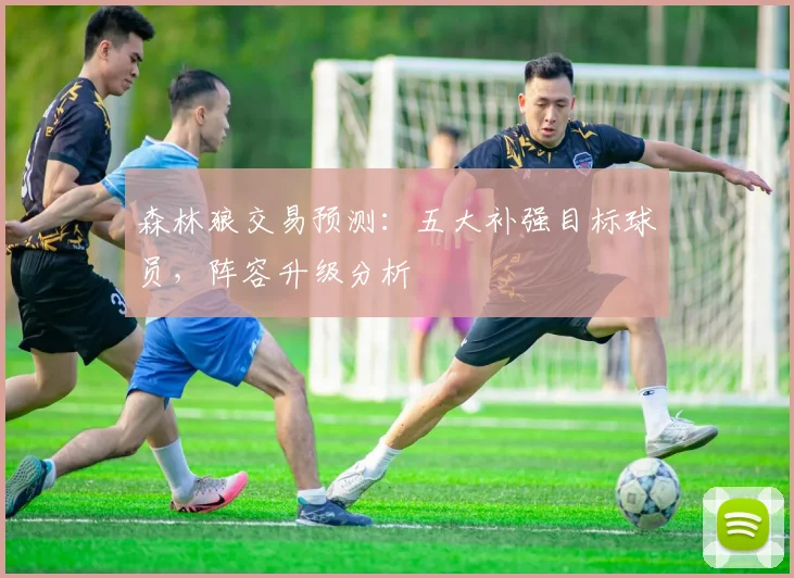 森林狼交易预测：五大补强目标球员，阵容升级分析
