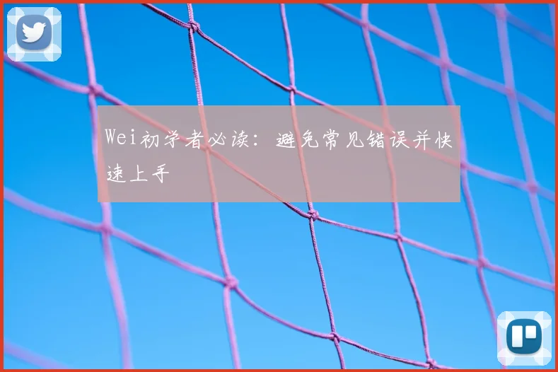 Wei初学者必读：避免常见错误并快速上手